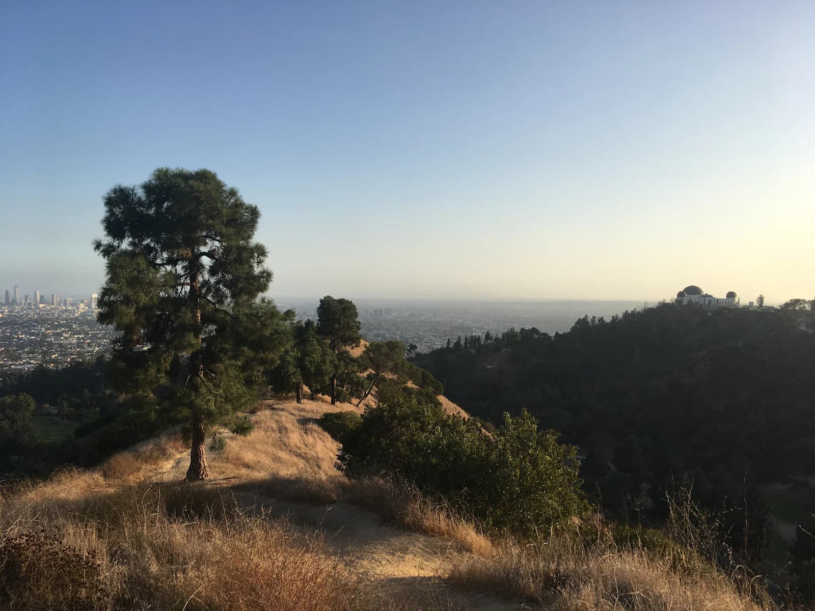 A Griffith Park hillside trail overlooking downtown Los Angeles and Griffith Observatory.